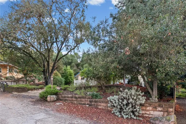 a view of a tree with back yard