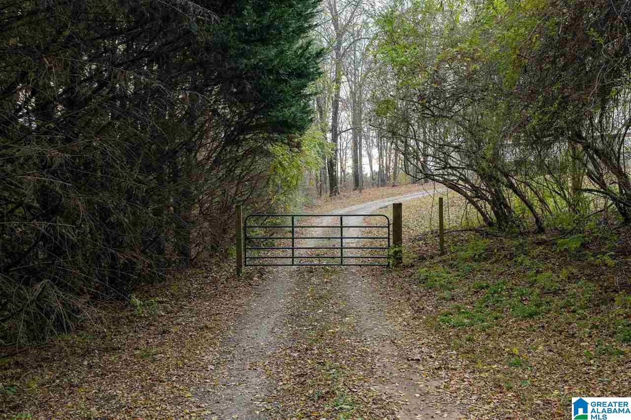1169 Raywood Road Woodstock, AL 35188 - Photo 9 of 50