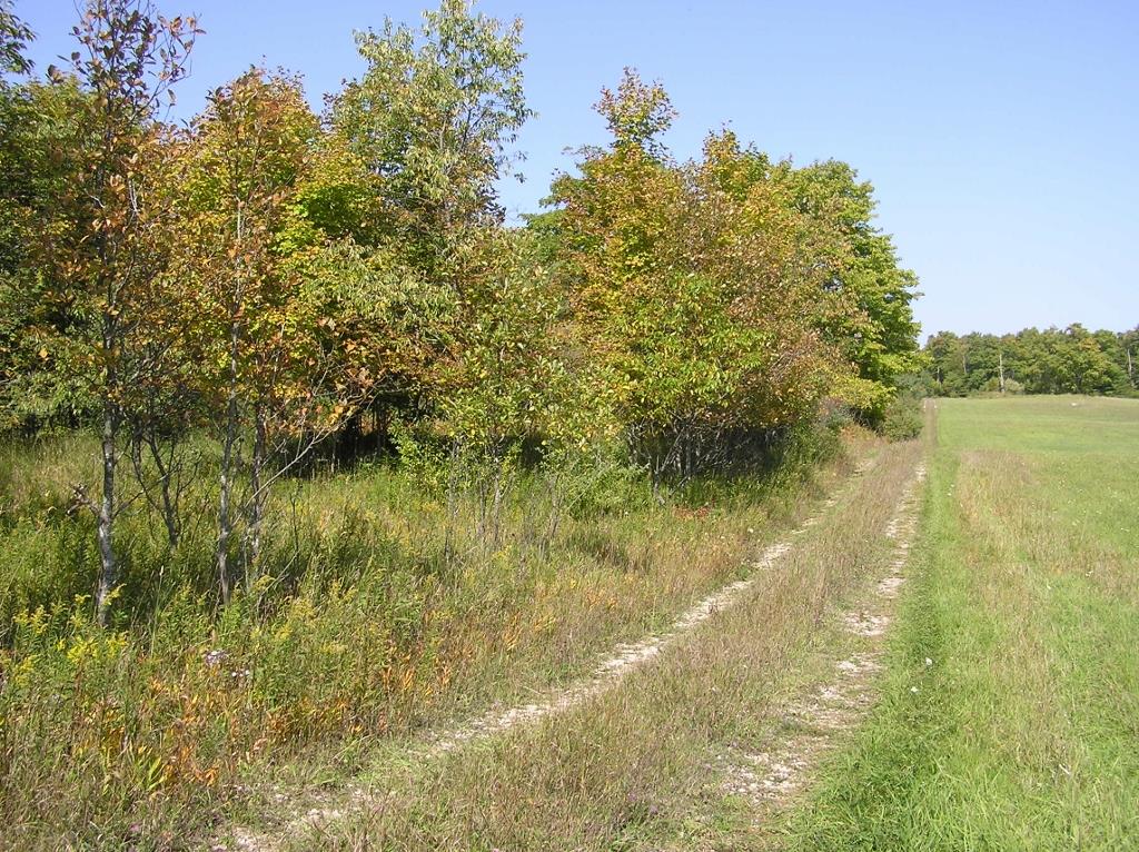 Tbd Lakeview Road Bonduel, WI 54107 - Photo 1 of 1