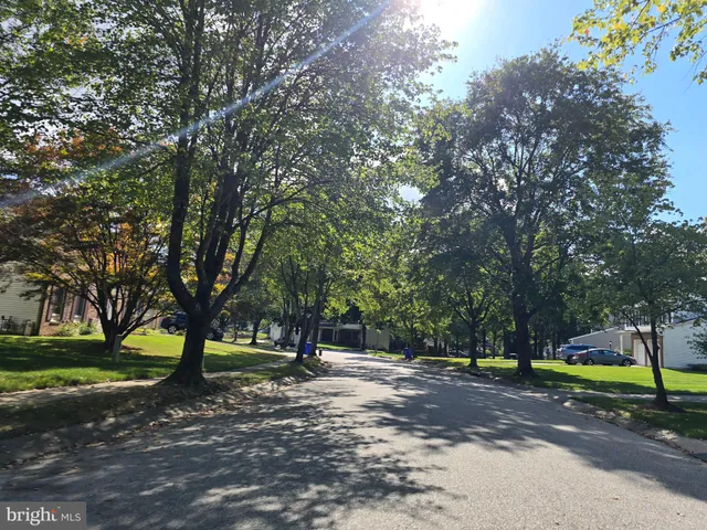 a view of road with tree