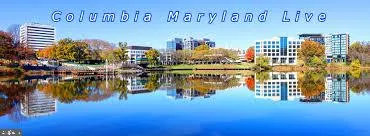 a view of a lake with a yard and trees