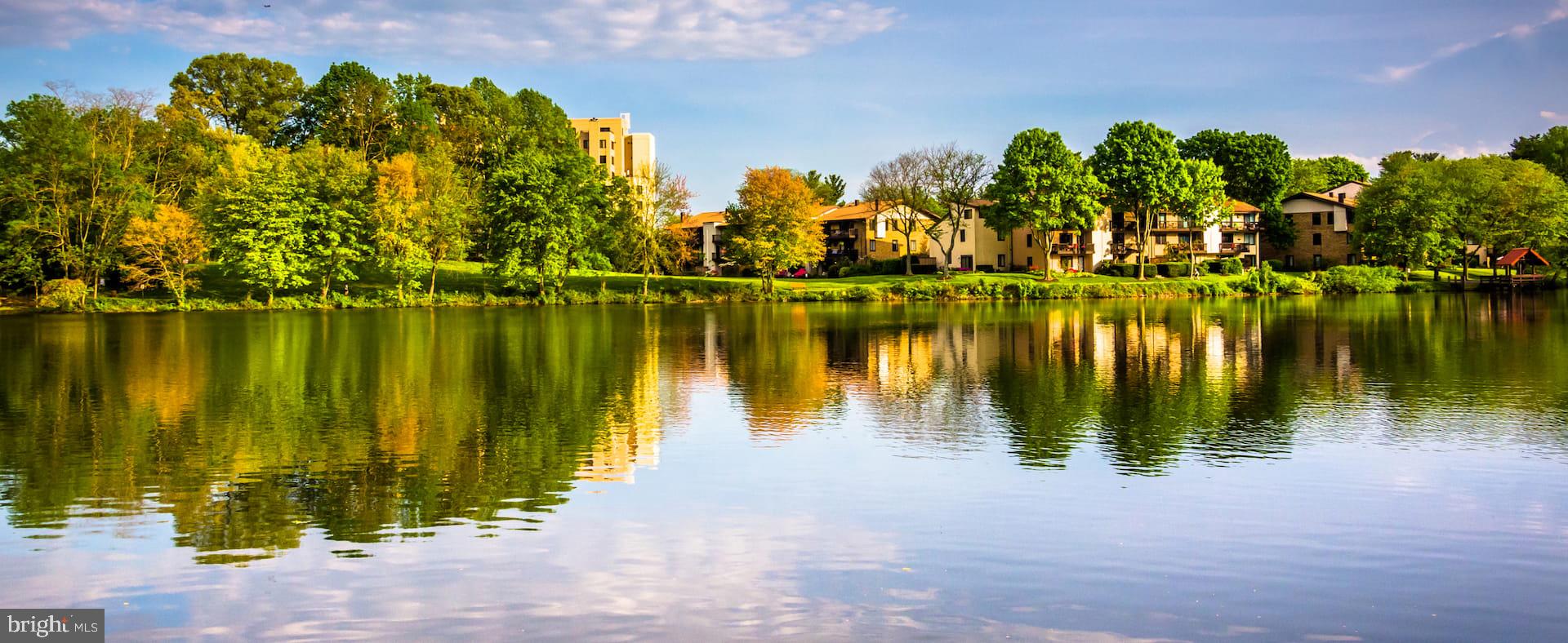 8682 Open Meadow Way Columbia, MD 21045 - Photo 9 of 13 a view of a lake with a yard and trees