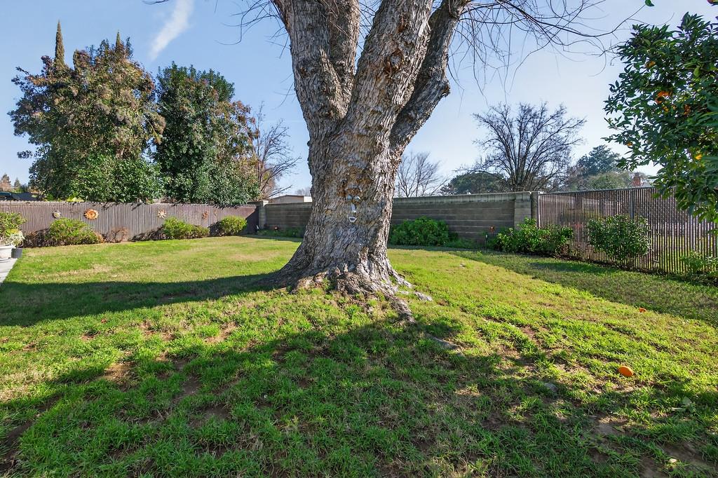 10580 Milazzo Way Rancho Cordova, CA 95670 - Photo 30 of 40