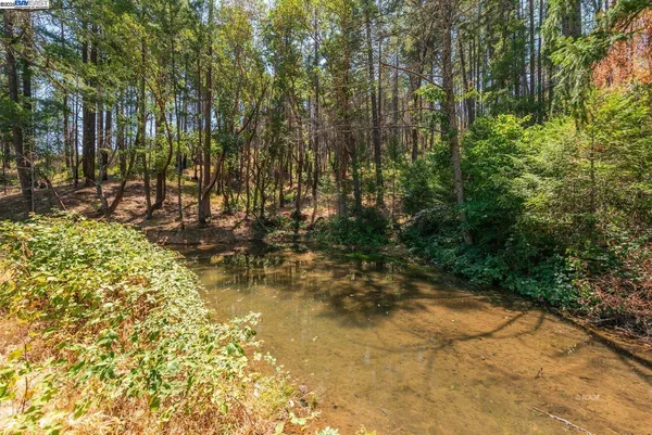 a view of empty space with trees