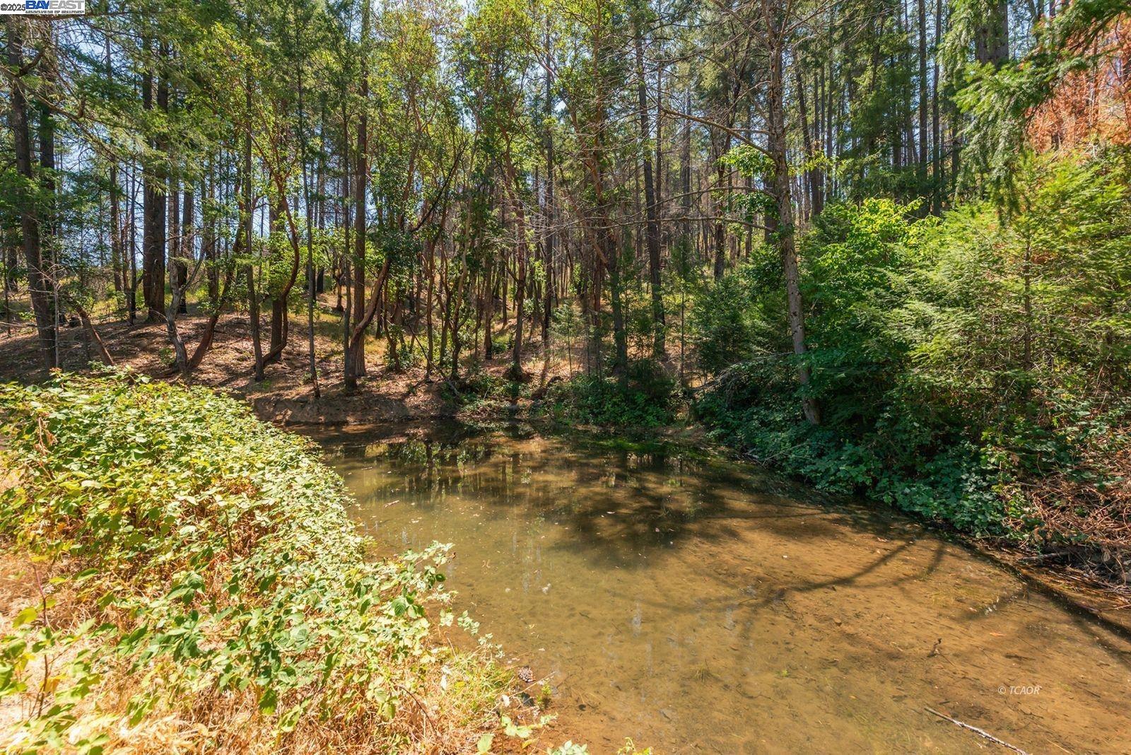 181 Price Creek Road Big Bar, CA 96010 - Photo 26 of 49 a view of swimming pool with a yard
