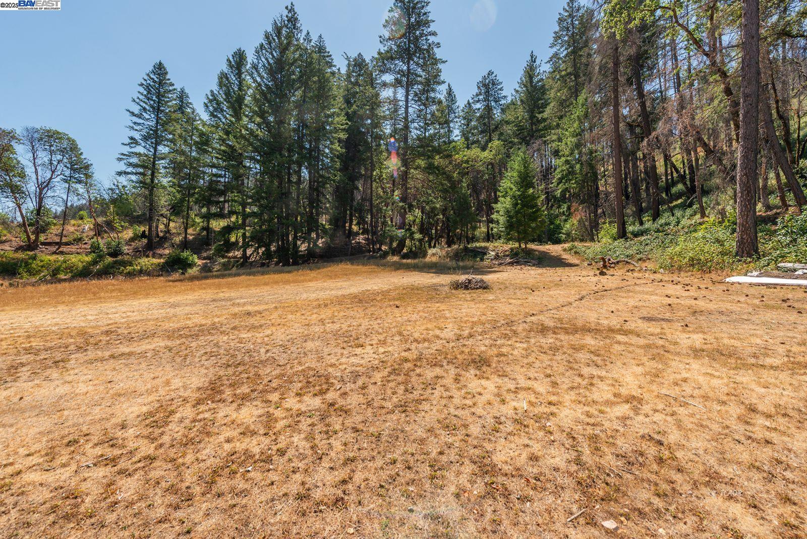 181 Price Creek Road Big Bar, CA 96010 - Photo 30 of 49 a view of empty space with trees