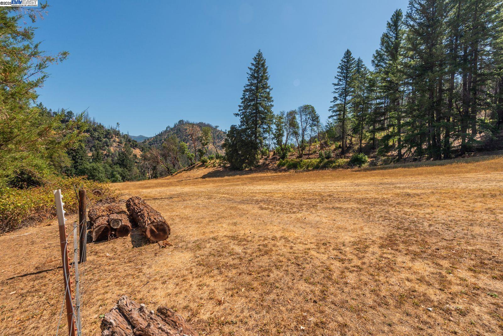 181 Price Creek Road Big Bar, CA 96010 - Photo 31 of 49 a view of a yard
