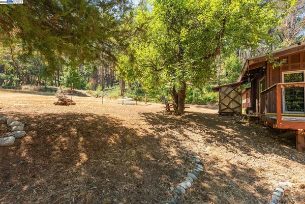 a view of a yard with large trees