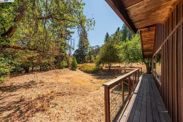 a view of a yard with trees
