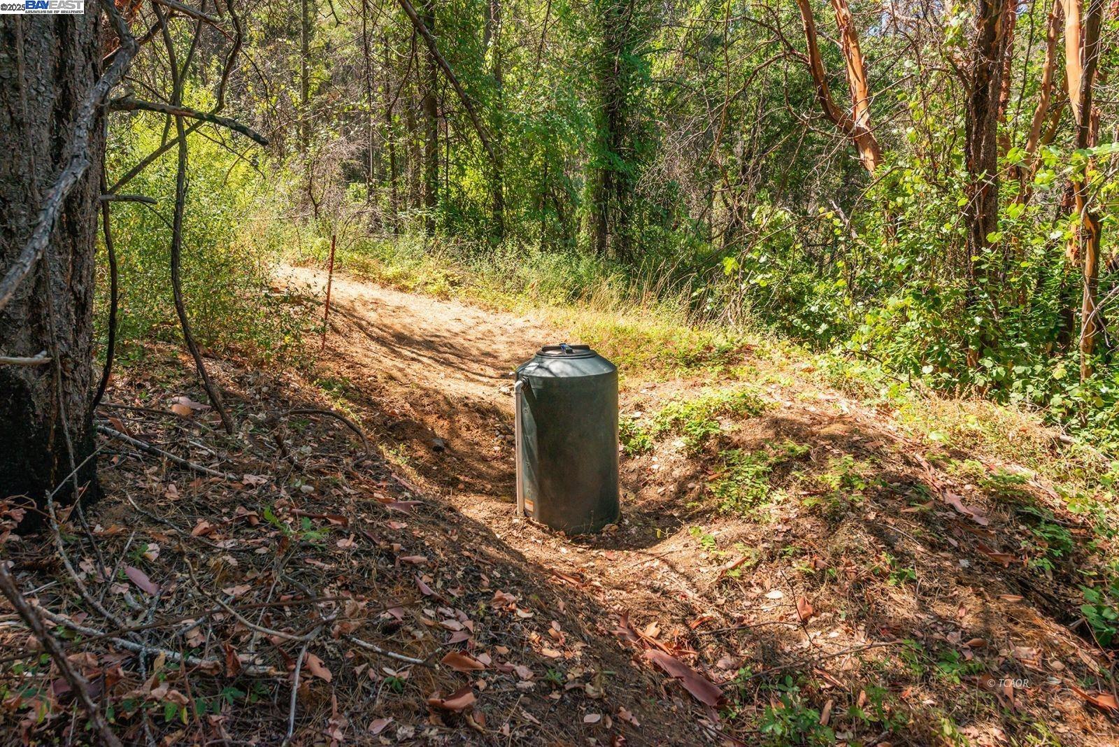 181 Price Creek Road Big Bar, CA 96010 - Photo 36 of 49 a view of a yard with large trees