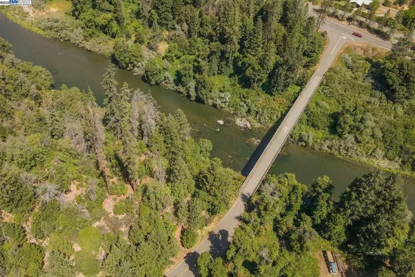 a close up of a plant