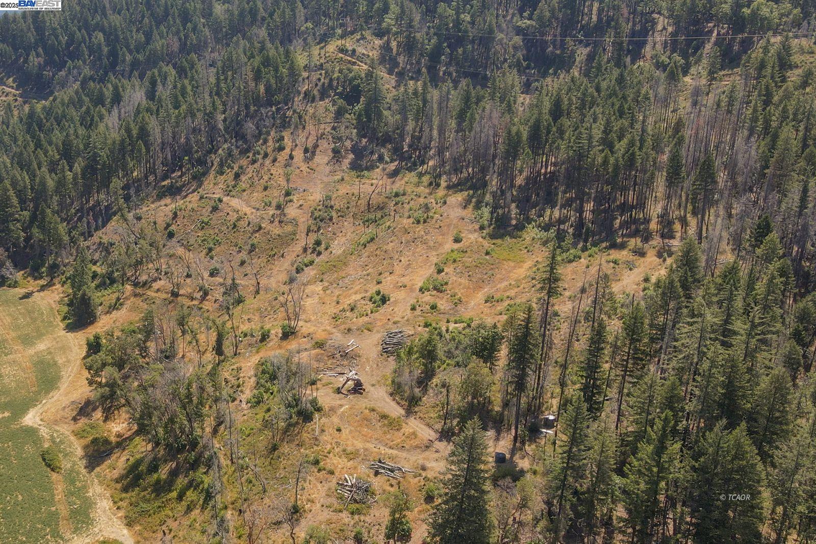 181 Price Creek Road Big Bar, CA 96010 - Photo 41 of 49 a view of a yard with trees