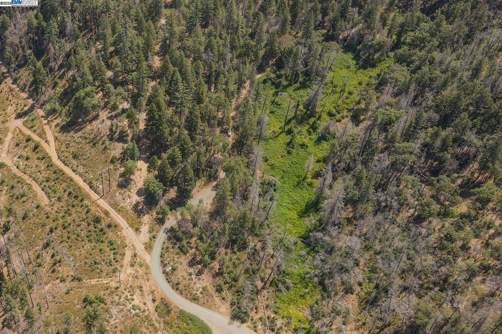 181 Price Creek Road Big Bar, CA 96010 - Photo 44 of 49 a view of a forest with a tree