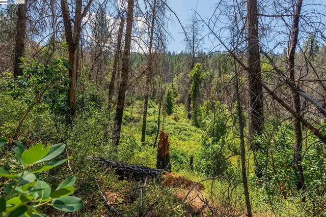 $295,000 | 181 Price Creek Road, Big Bar, CA 96010