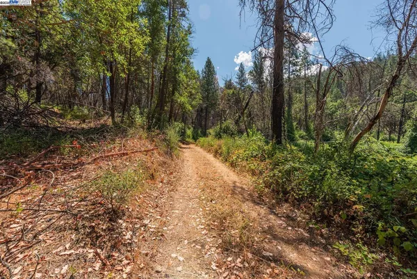 $295,000 | 181 Price Creek Road, Big Bar, CA 96010
