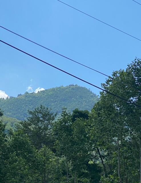 Lot 153 Bear Valley Road Sevierville, TN 37876 - Photo 3 of 3 FullSizeRender