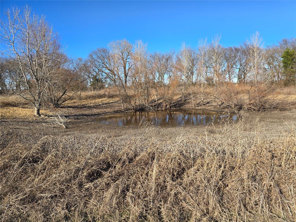 9999 Fm 3133 Road Van Alstyne, TX 75495 - Photo 8 of 10 a view of lake with trees
