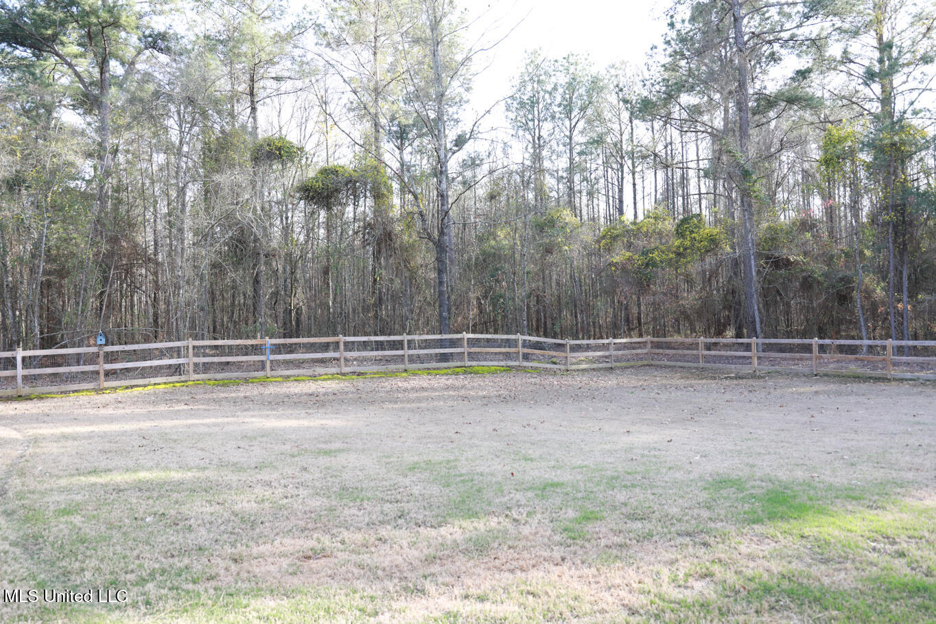 545 12 Oaks Trace Canton, MS 39046 - Photo 42 of 44 545 12 Oaks Trace-51