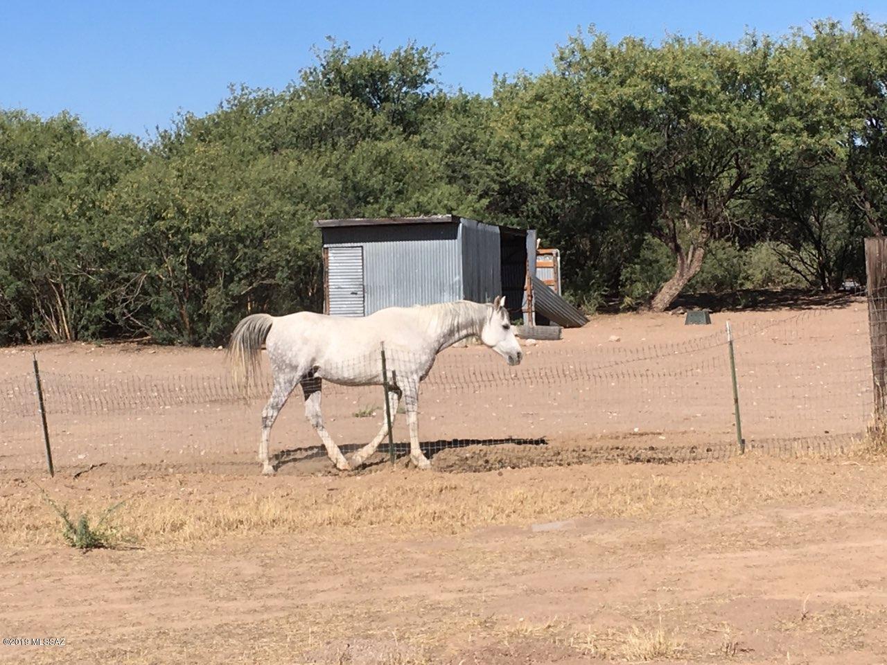 857 North River Road St. David, AZ 85630 - Photo 13 of 29 Gallery Image 13