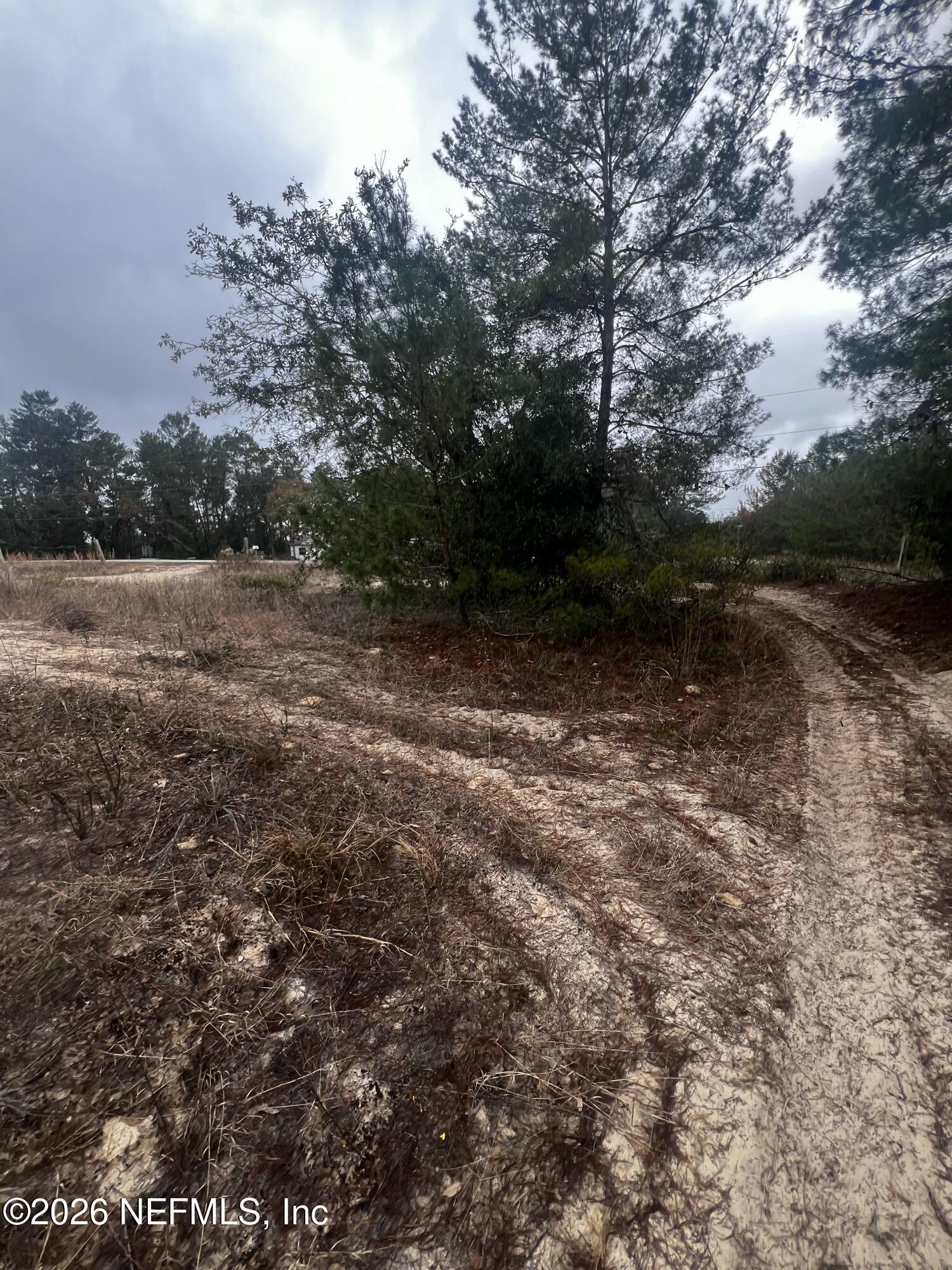 226 Ridge Road Satsuma, FL 32189 - Photo 1 of 61 IMG_0911