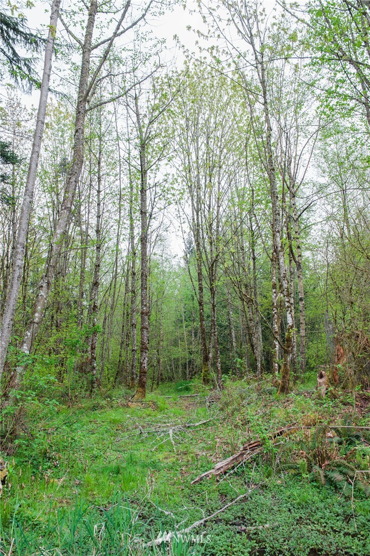 5400 Mission Road Bellingham, WA 98226 - Photo 2 of 25 Gallery Image 2