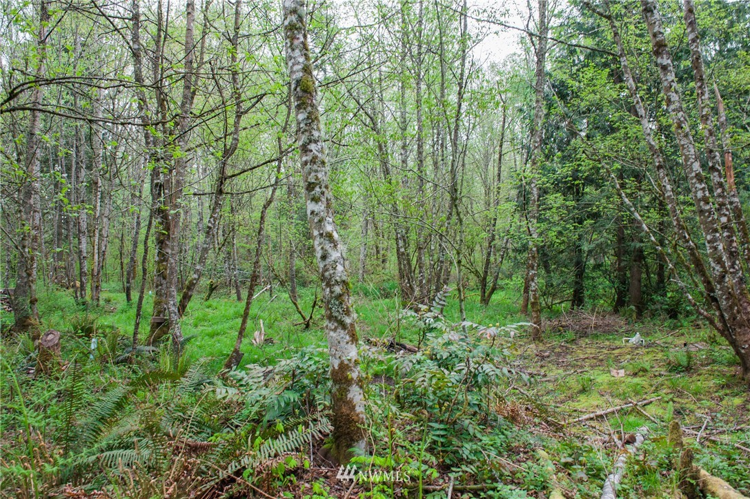 5400 Mission Road Bellingham, WA 98226 - Photo 13 of 25 Gallery Image 13