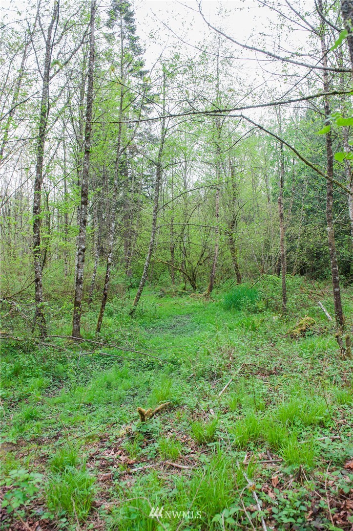 5400 Mission Road Bellingham, WA 98226 - Photo 15 of 25 Gallery Image 15