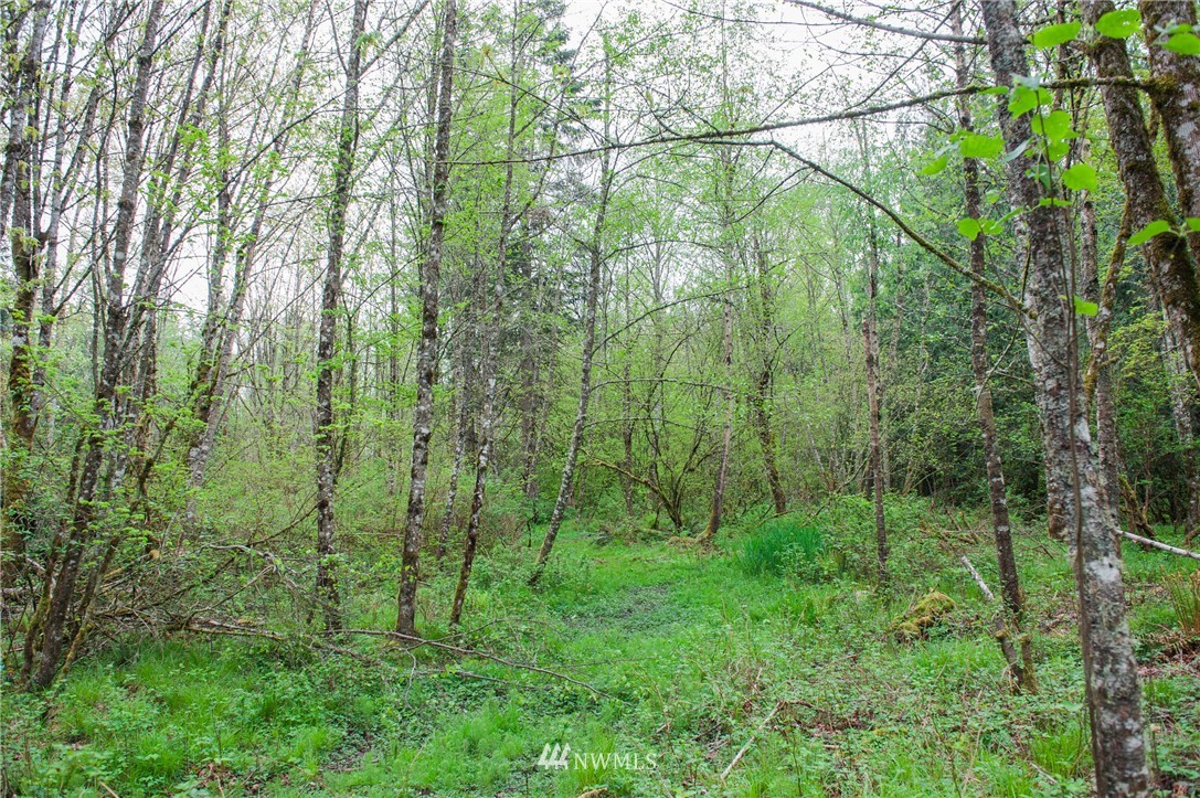 5400 Mission Road Bellingham, WA 98226 - Photo 16 of 25 Gallery Image 16
