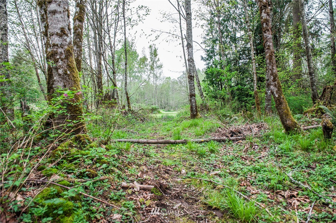 5400 Mission Road Bellingham, WA 98226 - Photo 17 of 25 Gallery Image 17