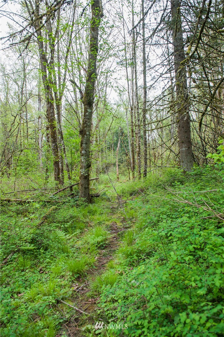 5400 Mission Road Bellingham, WA 98226 - Photo 21 of 25 Gallery Image 21