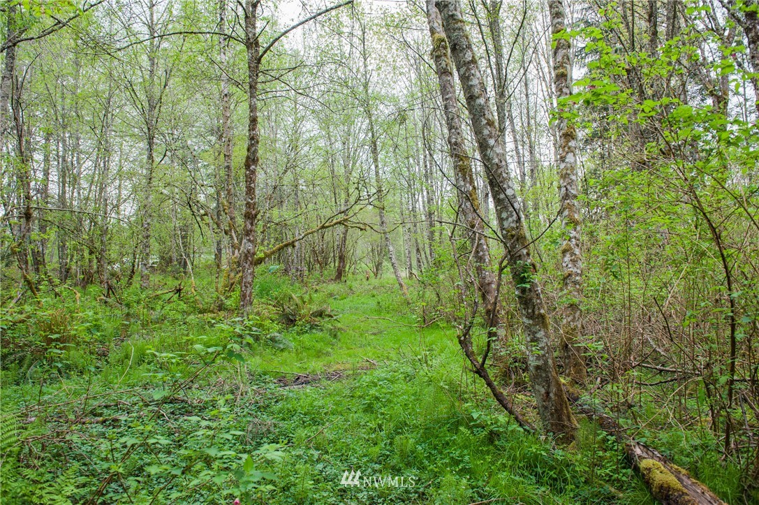 5400 Mission Road Bellingham, WA 98226 - Photo 23 of 25 Gallery Image 23