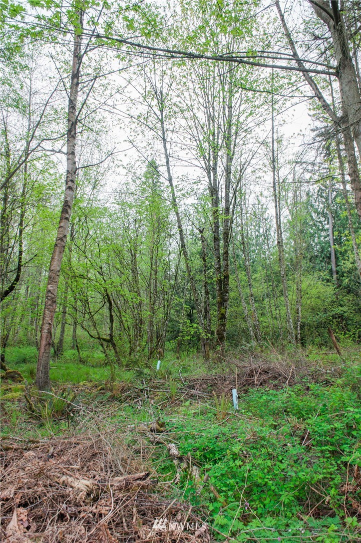 5400 Mission Road Bellingham, WA 98226 - Photo 4 of 25 Gallery Image 4