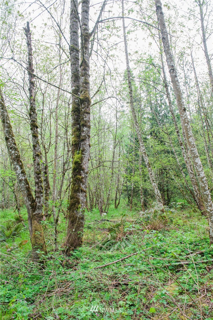 5400 Mission Road Bellingham, WA 98226 - Photo 7 of 25 Gallery Image 7