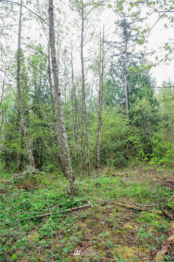5400 Mission Road Bellingham, WA 98226 - Photo 8 of 25 Gallery Image 8