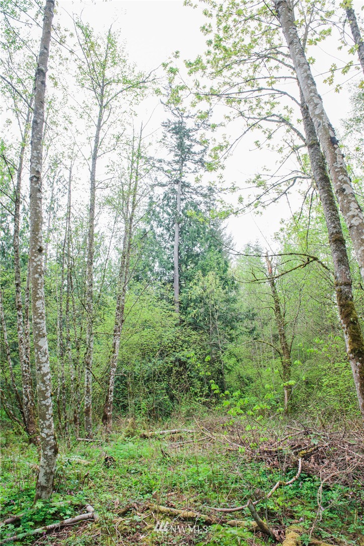 5400 Mission Road Bellingham, WA 98226 - Photo 9 of 25 Gallery Image 9