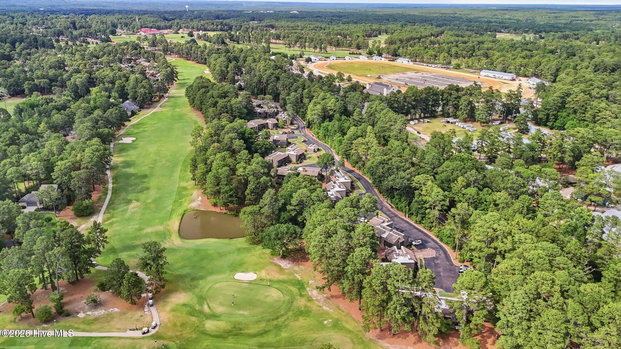 10 Pine Tree Road, Unit 136 Pinehurst, NC 28374 - Photo 27 of 31