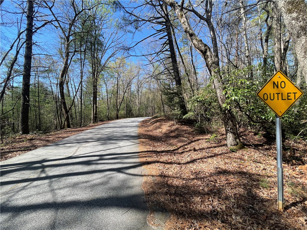 0 Mountain Rest Lake Road Mountain Rest, SC 29664 - Photo 13 of 18