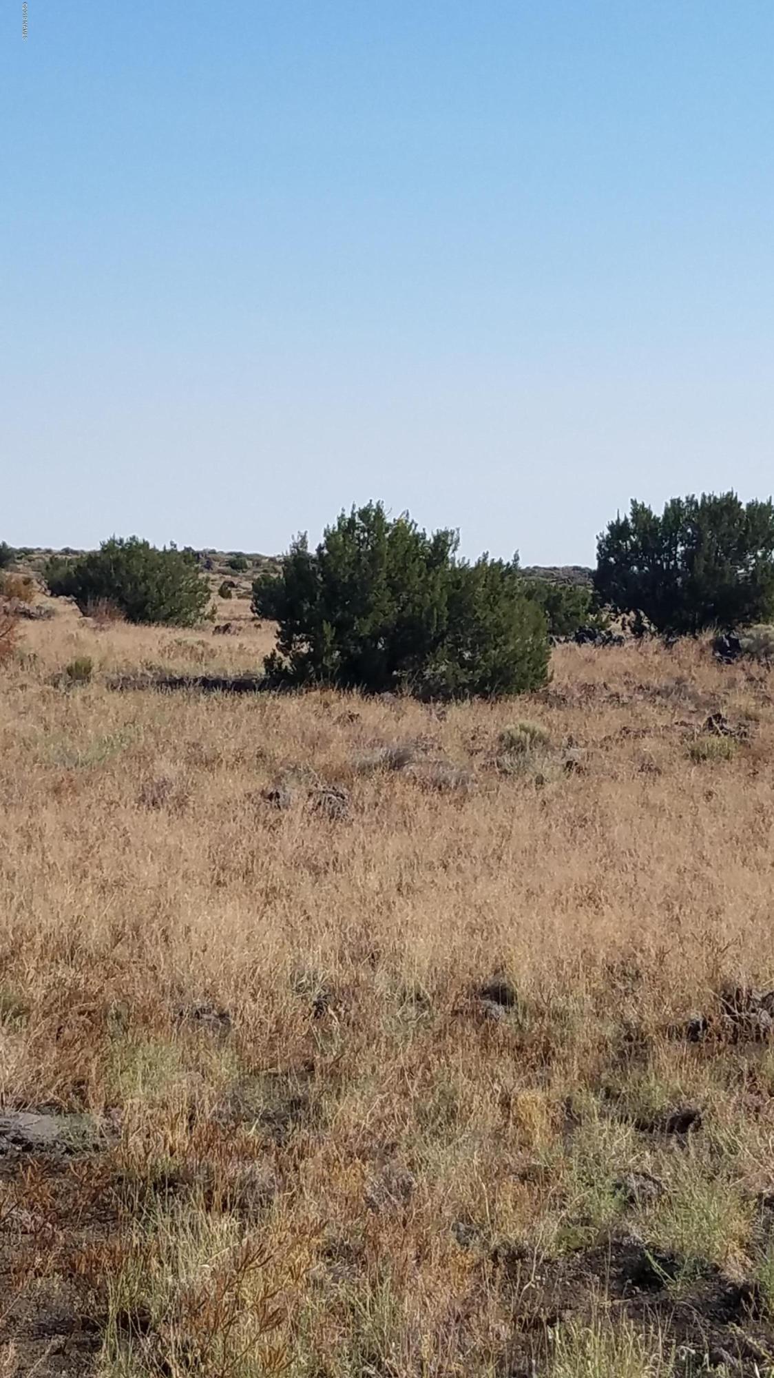 43097 Alpine Ranch Flagstaff, AZ 86004 - Photo 2 of 4 Parcel 2