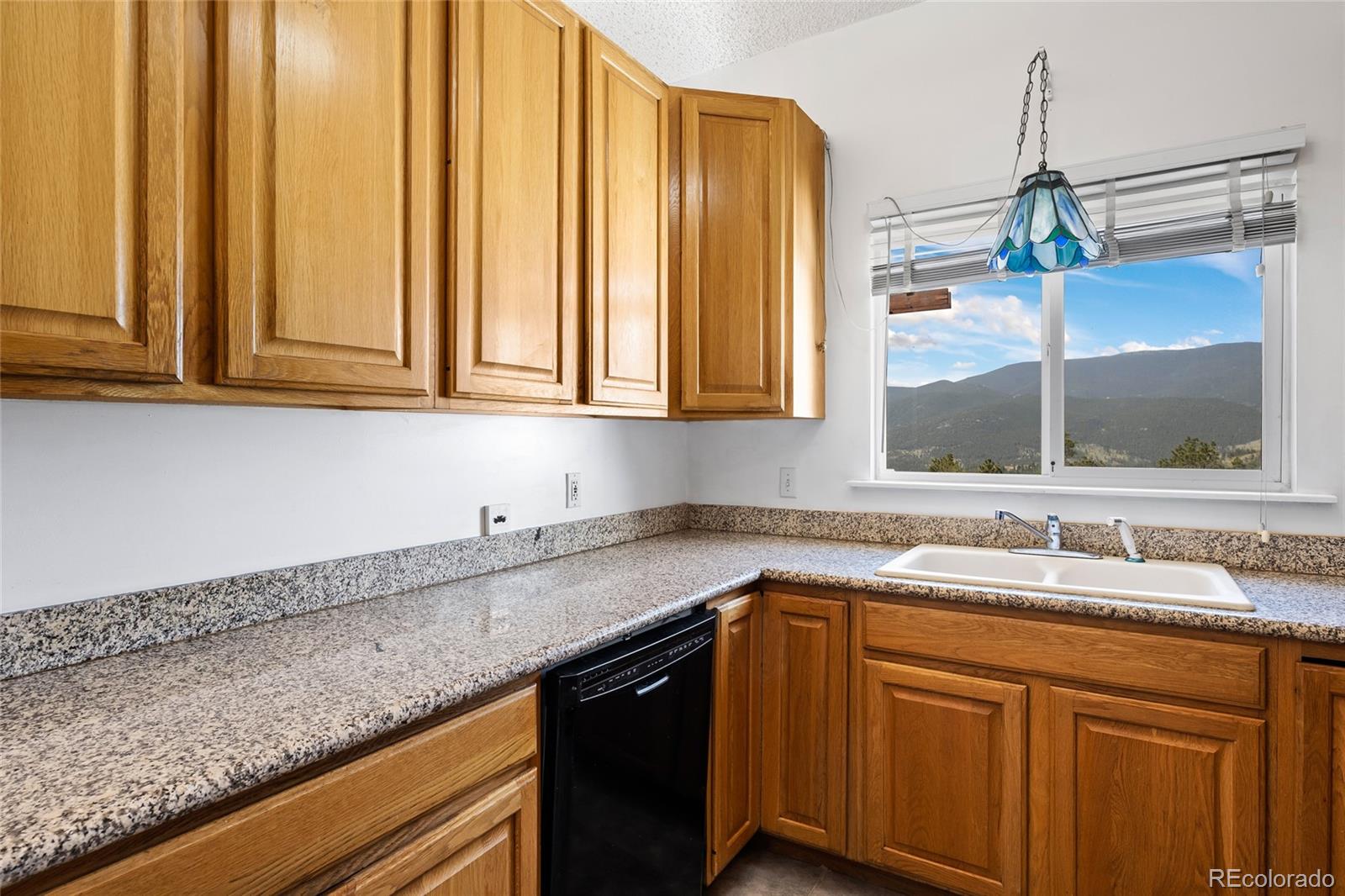 1729 Crow Valley Road Bailey, CO 80421 - Photo 25 of 49