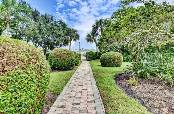 a view of a garden with pathway