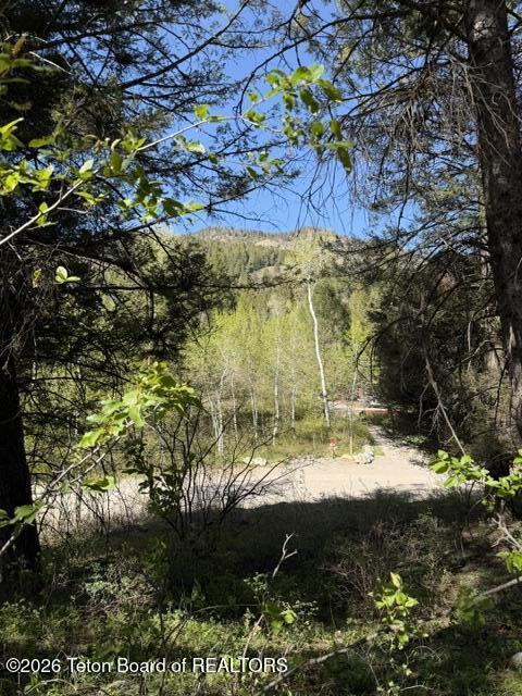 77 Redwood Road Star Valley Ranch, WY 83127 - Photo 1 of 8 IMG_4749