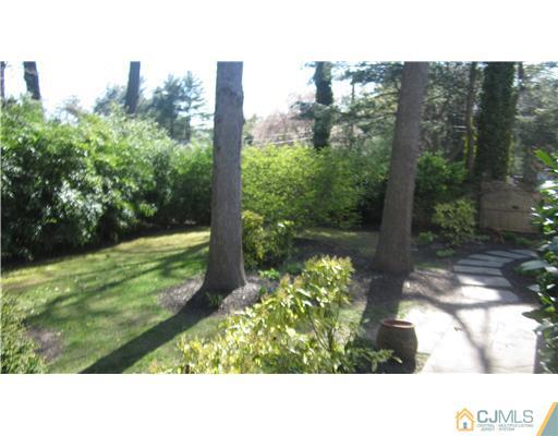35 Clive Hills Road Edison, NJ 08820 - Photo 20 of 20 a black and white photo of a garden