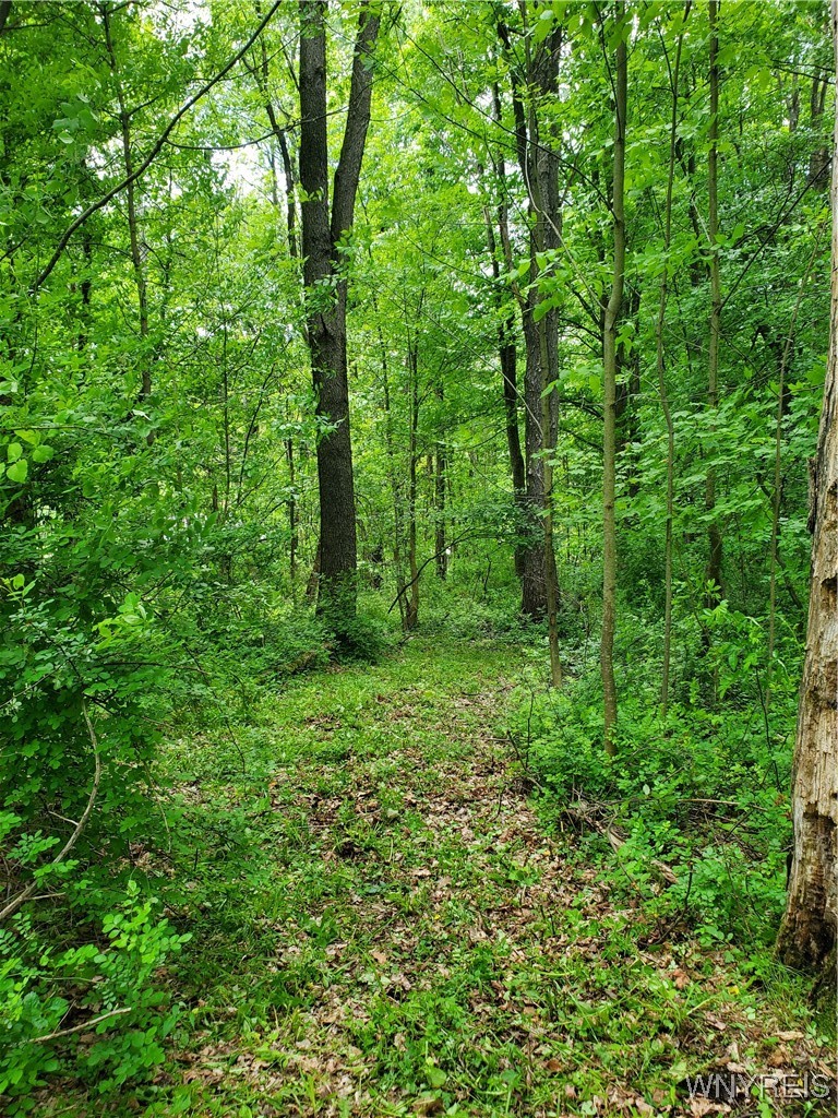 7200 Kent Road Little Valley, NY 14755 - Photo 15 of 43