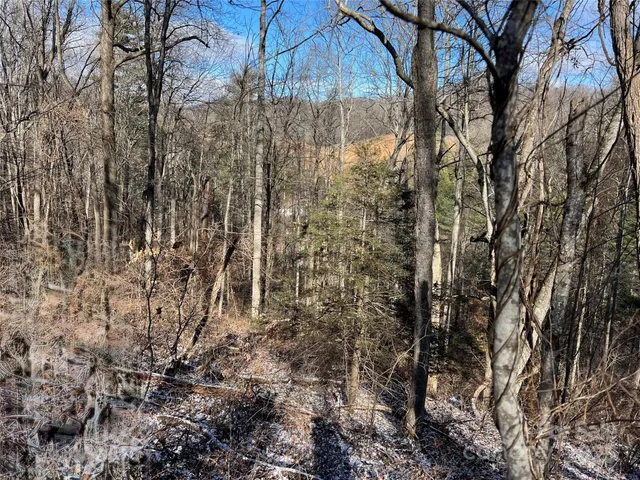 $720,000 | 1927 Ammons Branch Road, Marshall, NC 28753