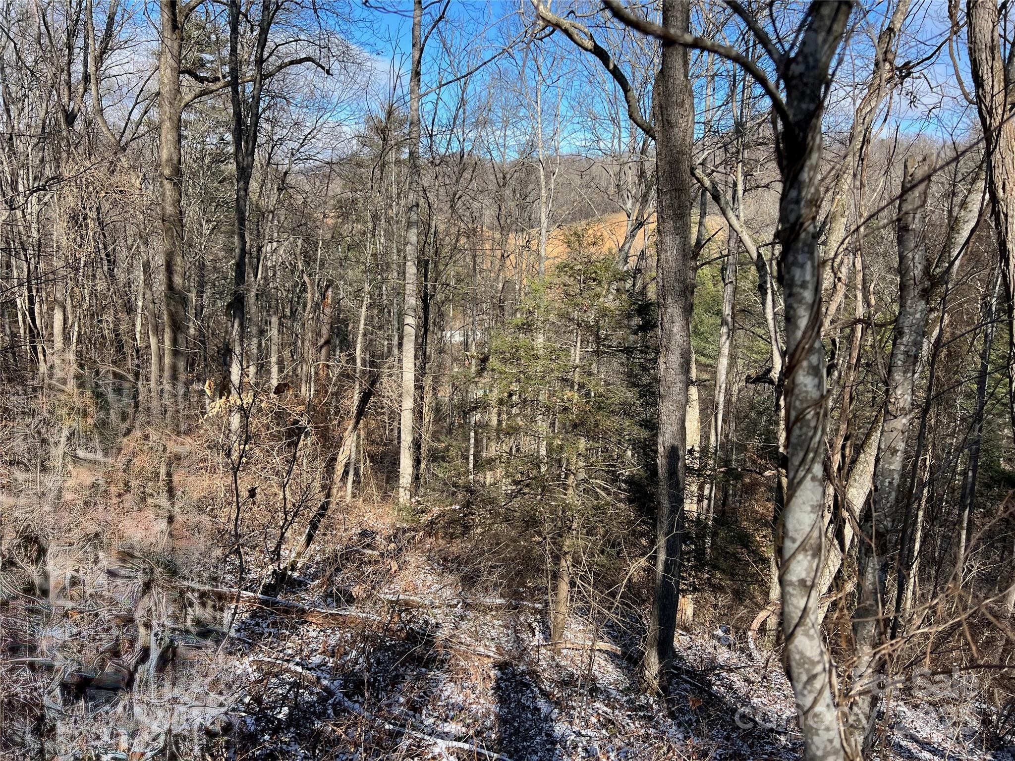 1927 Ammons Branch Road Marshall, NC 28753 - Photo 13 of 28