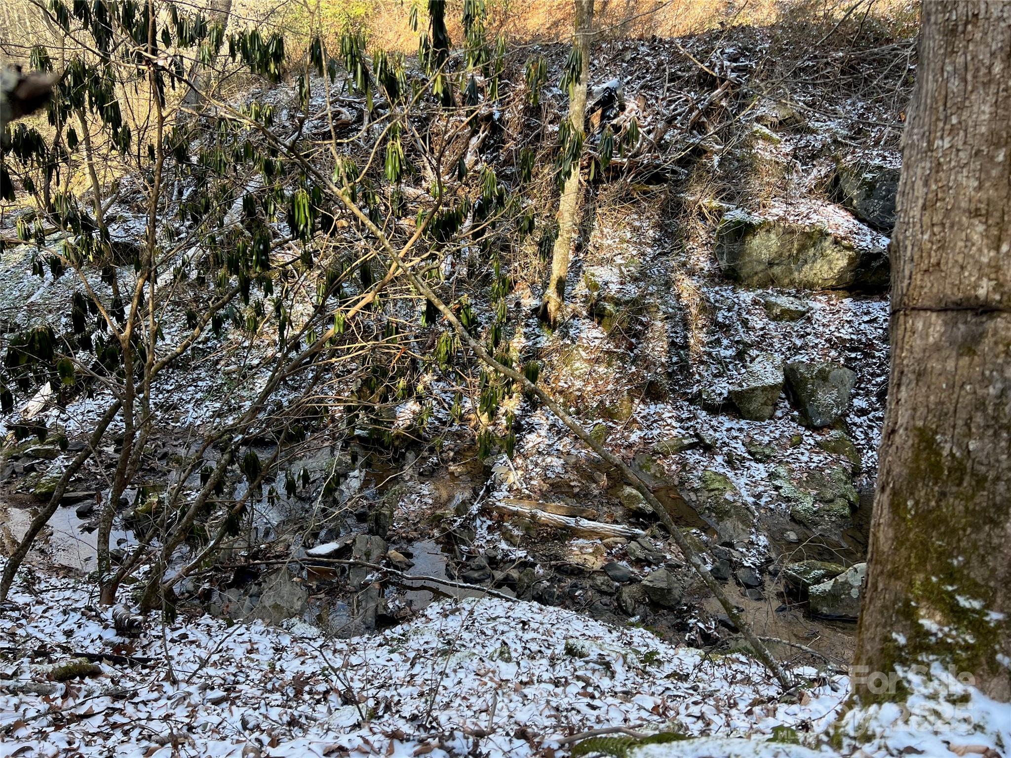 1927 Ammons Branch Road Marshall, NC 28753 - Photo 14 of 28