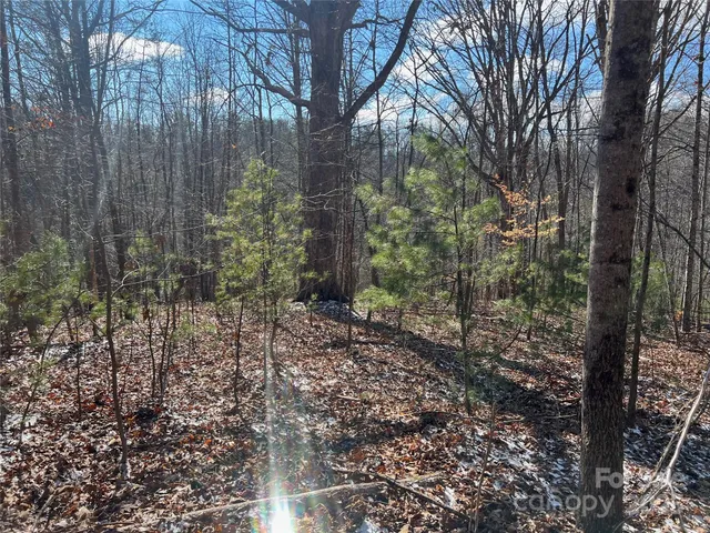 $720,000 | 1927 Ammons Branch Road, Marshall, NC 28753