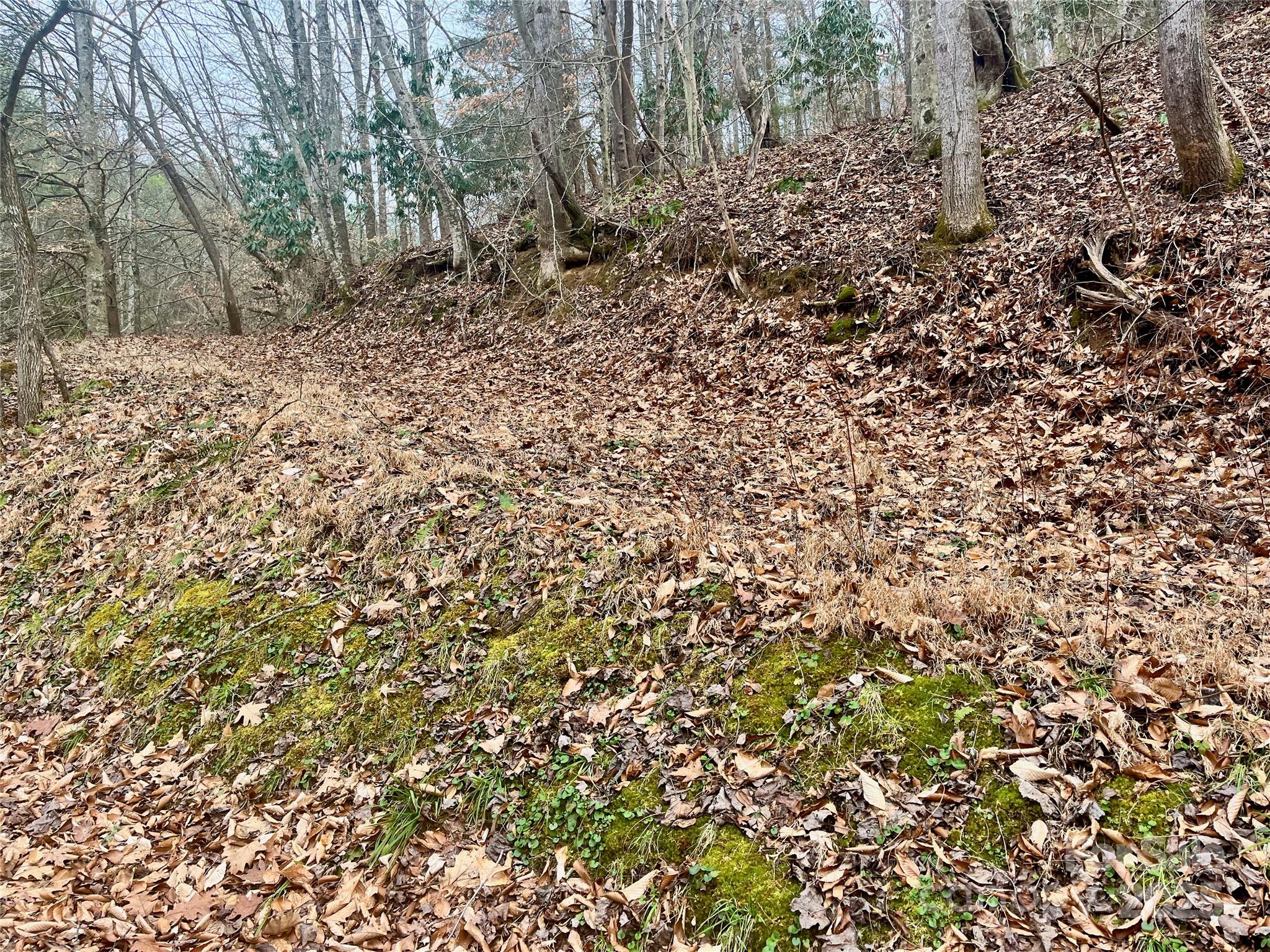 1927 Ammons Branch Road Marshall, NC 28753 - Photo 19 of 28