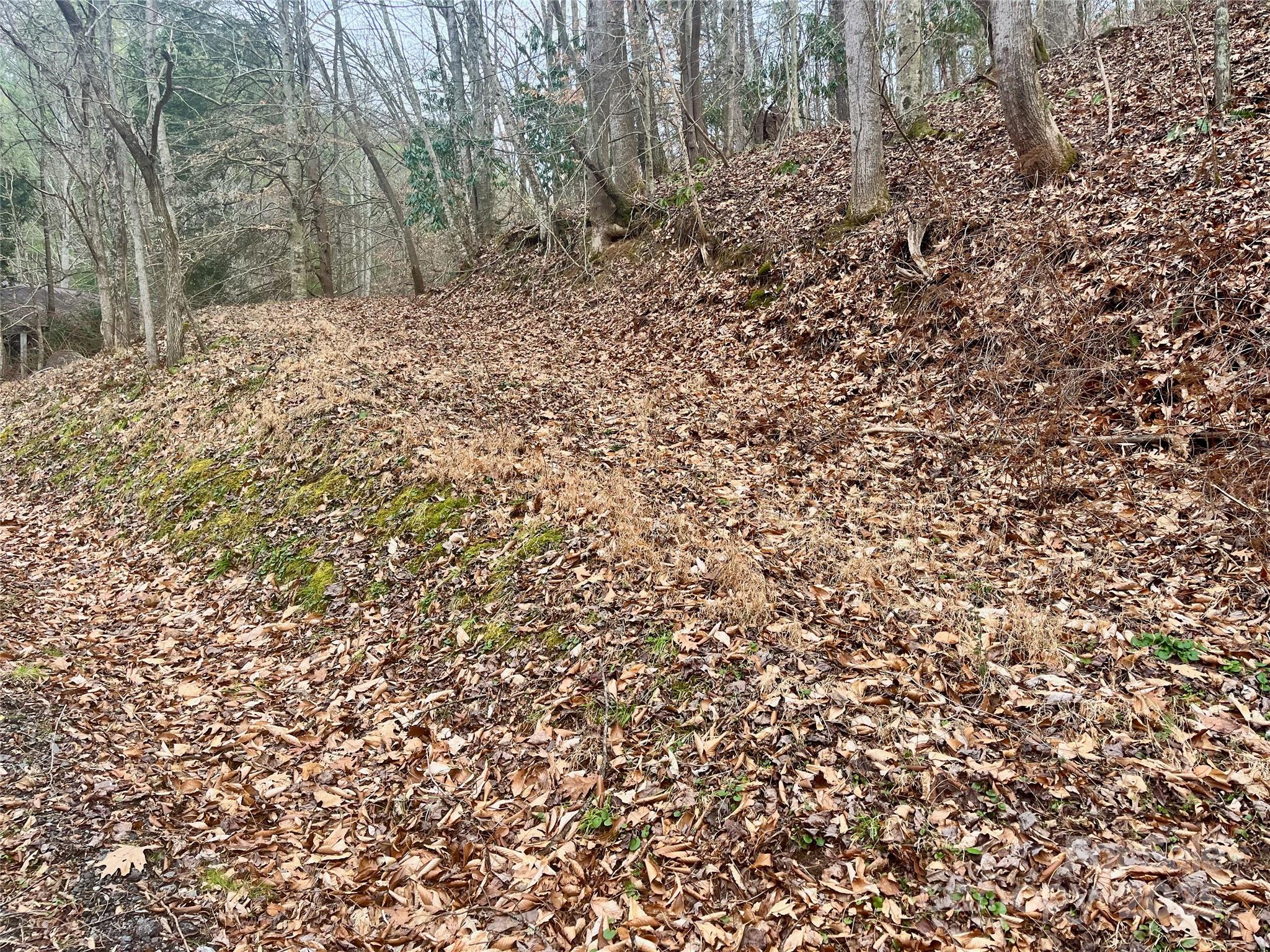 1927 Ammons Branch Road Marshall, NC 28753 - Photo 20 of 28