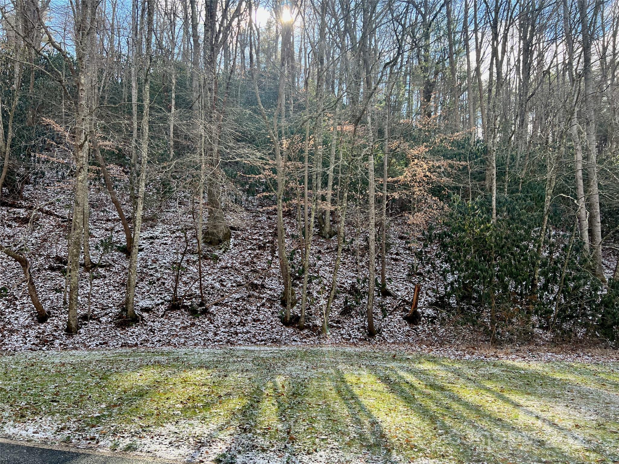 1927 Ammons Branch Road Marshall, NC 28753 - Photo 2 of 28